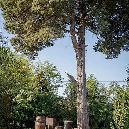 Villa Casale Della Luna
